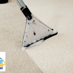 Carpet and Tile Cleaning Services | The Flying Carpet & Tile Cleaner