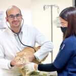 Vet Center Qatar: Comprehensive Care for Your Pets