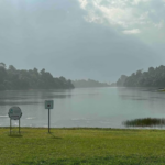 Find the Right Businesses for Sale in Singapore | Feyday