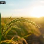 KBT Östermalm — Compassionate mental health support in central Stockholm