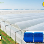 Duct Tape UAE: Strong, Reliable Solutions for Every Job