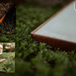 Transform Your Garden with Corten Steel Rings from Landermetals