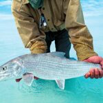South Andros Bonefishing: Ultimate Flats & Guides | Bairslodge