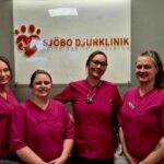 Hund tandvård i Tomelilla – trygga tänder för din vän