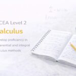 NCEA Level 3 Maths Exam Prep: Boost Your Confidence