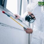 Pest Control Near Williams Landing – Trusted Local Experts