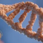 Gene Based Therapy in Malaysia: Advancing Personalized Treatment