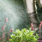 Mosquito Control and Yard Protection: Safer, Sweeter Outdoor Spaces