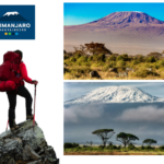 Certified Local Kilimanjaro Climbing Guide | Trusted Experts