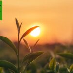 Electric Forklift for Sale: Efficient, Durable Lifting Solutions