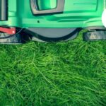 Weeding Landscaping Services | Tidy Gardeners Bristol