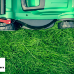 Transform Your Bristol Lawn with Expert Shaping
