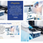 ba 1-42: Trusted Peptide for Alzheimer’s Research and Discovery